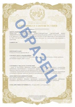 Образец Сертификат СТО 01.064.00220722.2-2020 Октябрьский Сертификат СТО 01.064.00220722.2-2020 